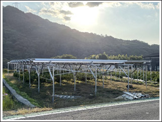 営農型太陽光発電所イメージ3