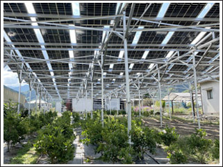 営農型太陽光発電所イメージ6